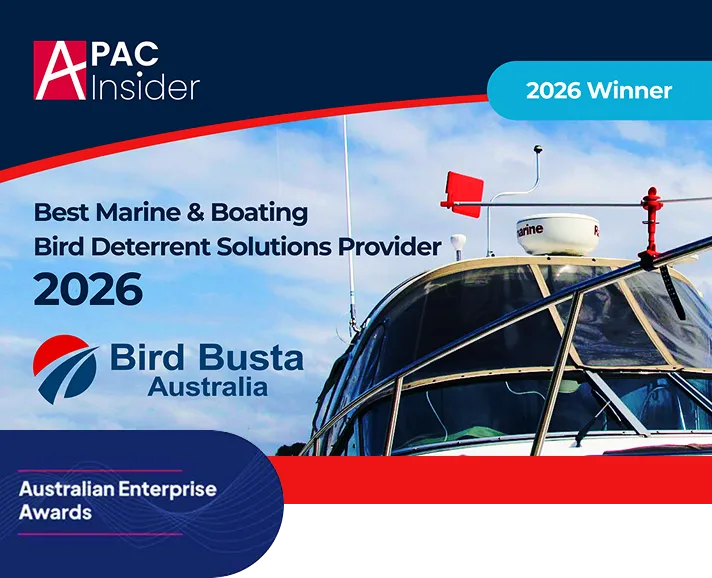 footer image footer image